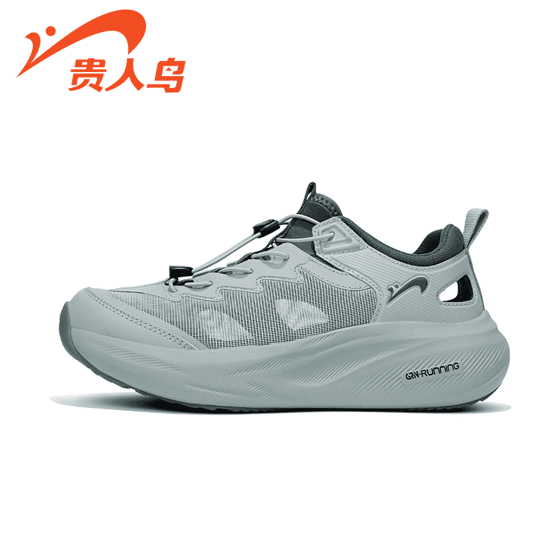 gray 2507D